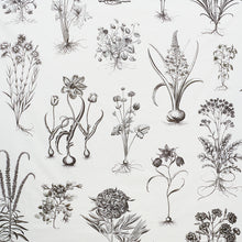 Load image into Gallery viewer, Schumacher Cabot Botanical Large Fabric 178740 / Ivory