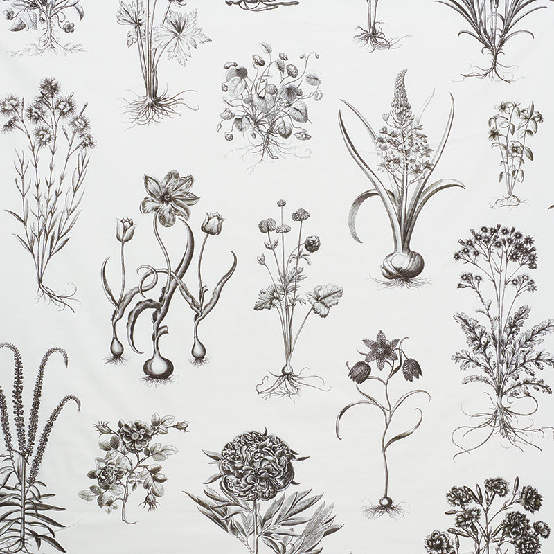 Schumacher Cabot Botanical Large Fabric 178740 / Ivory