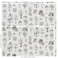Load image into Gallery viewer, SCHUMACHER CABOT BOTANICAL FABRIC 178751 / IVORY