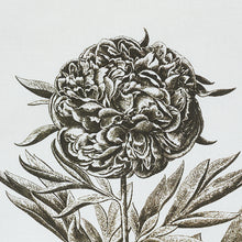 Load image into Gallery viewer, SCHUMACHER CABOT BOTANICAL FABRIC 178751 / IVORY