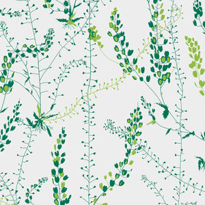 Schumacher Bladranker Wallpaper 1787 / Leaf