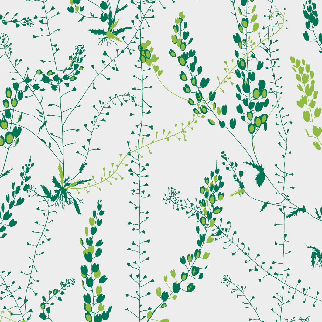 Schumacher Bladranker Wallpaper 1787 / Leaf