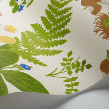 Load image into Gallery viewer, Schumacher Trollslända Wallpaper 1788 / Multi