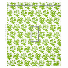 Load image into Gallery viewer, Schumacher Coral Fabric 179101 / Green