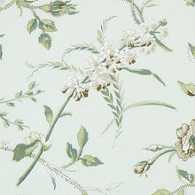 Load image into Gallery viewer, Schumacher Beluze Fabric 179620 / Mineral