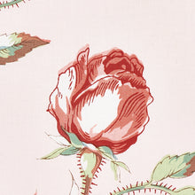 Load image into Gallery viewer, Schumacher Beluze Fabric 179621 / Blush