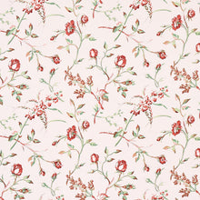 Load image into Gallery viewer, Schumacher Beluze Fabric 179621 / Blush