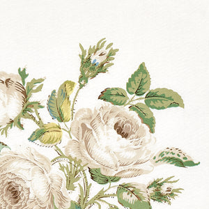Schumacher Loudon Rose Fabric 179630 / Ivory