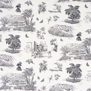 Schumacher Toussaint Toile Fabric 180270 / Black