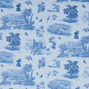 Schumacher Toussaint Toile Fabric 180273 / Blue & Sky