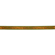 Load image into Gallery viewer, Schumacher Le Tigre Embroidered Trim 82511 / Green