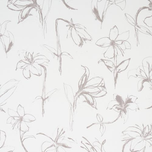 Load image into Gallery viewer, Schumacher Close Your Eyes And Remember Wallpaper 5014080 / Soft Black