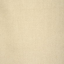 Load image into Gallery viewer, Lee Jofa Safari Linen Fabric / Light Blush