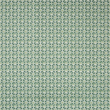 Load image into Gallery viewer, Lee Jofa Sylvan Print Fabric / Aloe