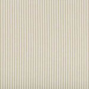 Lee Jofa Cap Ferrat Stripe Fabric / Beige