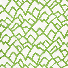 Load image into Gallery viewer, SCHUMACHER ZIMBA FABRIC / LAWN