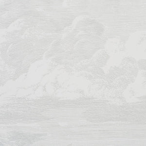 Schumacher Cloud Toile Wallpaper / Quartz