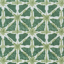 Load image into Gallery viewer, Lee Jofa Sylvan Print Fabric / Aloe