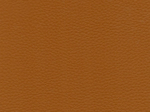 Heavy Duty Faux Leather Vinyl | Fabric Bistro | Columbia | South