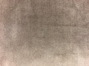 Designer Cotton Ash Taupe Neutral Velvet Upholstery Drapery Fabric