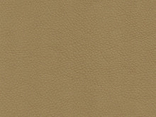 Load image into Gallery viewer, Heavy Duty Sand Taupe Scarlet Vegan Faux Leather Upholstery Vinyl