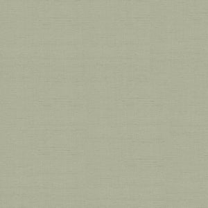 SCHUMACHER INDOCHINE FABRIC 3123011 / STONE