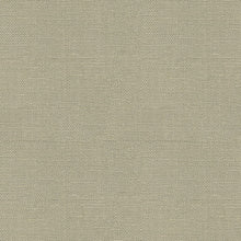 Load image into Gallery viewer, Brunschwig &amp; Fils Bankers Linen Fabric / Ash