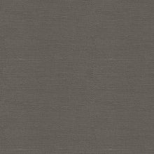 Load image into Gallery viewer, Brunschwig &amp; Fils Bankers Linen Fabric / Aluminum