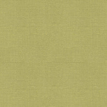 Load image into Gallery viewer, Brunschwig &amp; Fils Bankers Linen Fabric / Lime