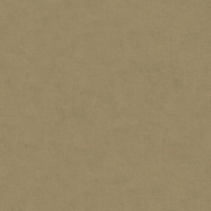 Brunschwig & Fils Charmant Velvet Fabric / Cobblestone