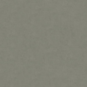 Brunschwig & Fils Charmant Velvet Fabric / Pewter