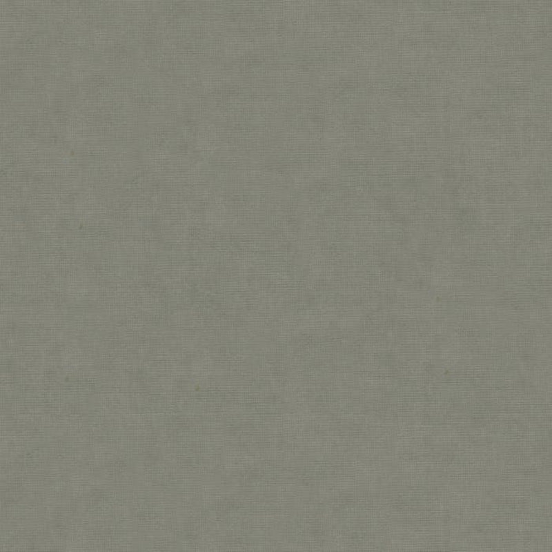 Brunschwig & Fils Charmant Velvet Fabric / Pewter
