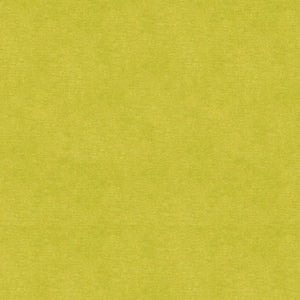 Brunschwig & Fils Charmant Velvet Fabric / Peridot