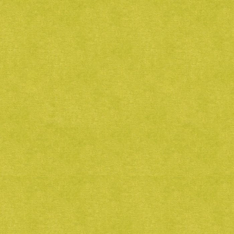 Brunschwig & Fils Charmant Velvet Fabric / Peridot