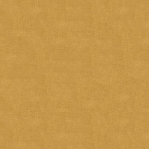 Brunschwig & Fils Charmant Velvet Fabric / Beige