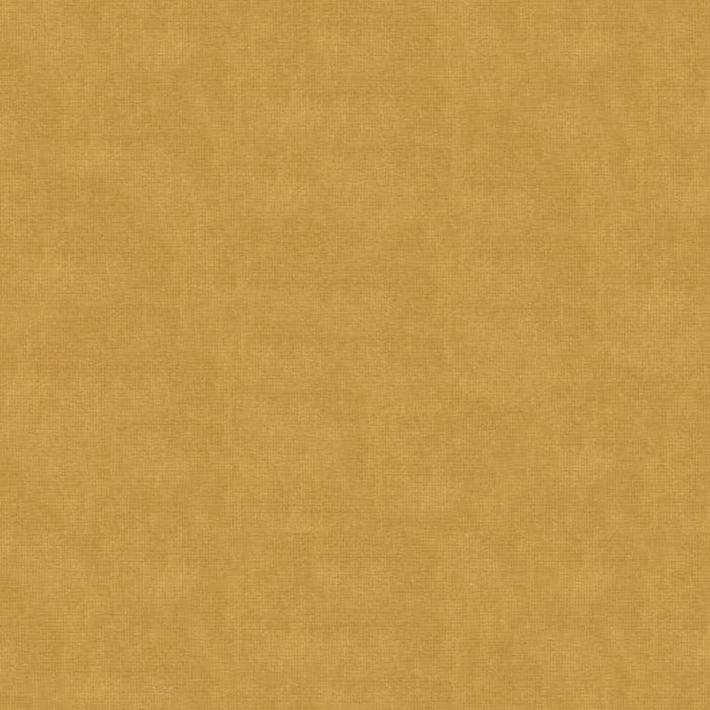 Brunschwig & Fils Charmant Velvet Fabric / Beige