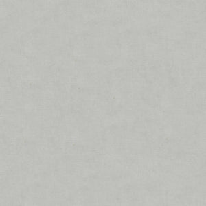 Brunschwig & Fils Charmant Velvet Fabric / Silver
