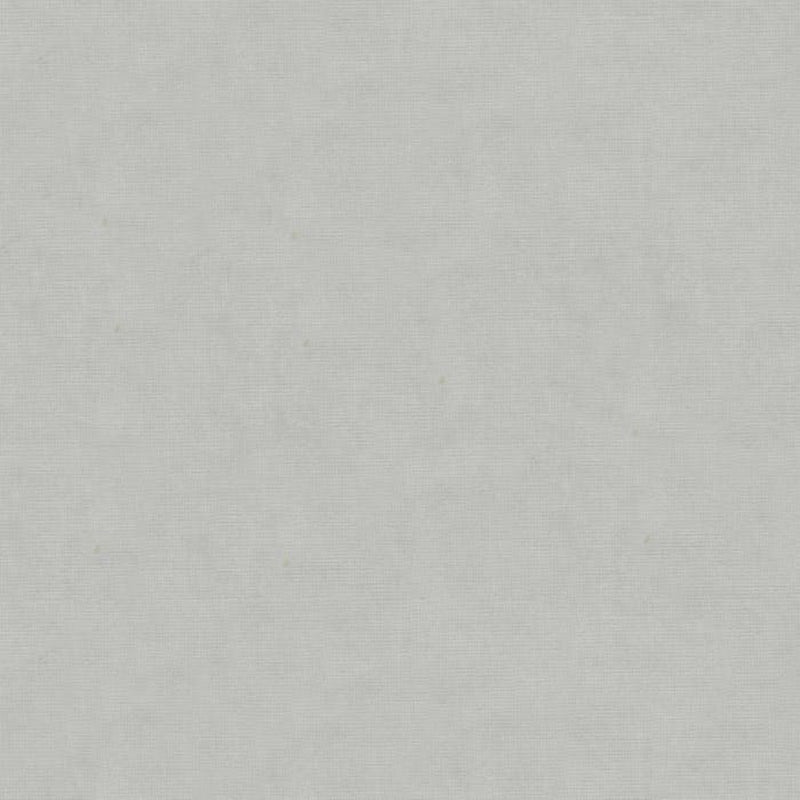 Brunschwig & Fils Charmant Velvet Fabric / Silver