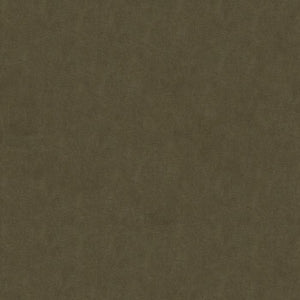 Brunschwig & Fils Charmant Velvet Fabric / Ash