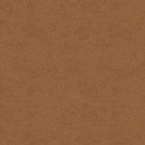 Brunschwig & Fils Charmant Velvet Fabric / Taupe