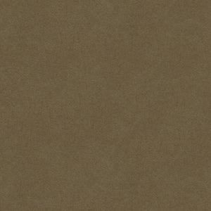 Brunschwig & Fils Chevalier Wool Fabric / Taupe