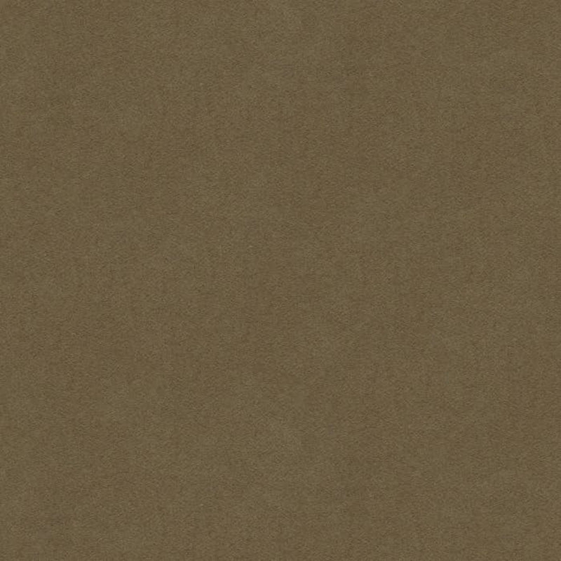 Brunschwig & Fils Chevalier Wool Fabric / Taupe