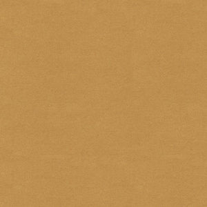 Brunschwig & Fils Chevalier Wool Fabric / Biscuit