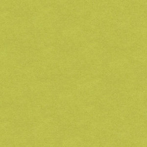 Brunschwig & Fils Chevalier Wool Fabric / Peridot