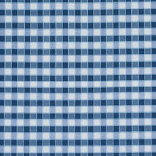 Load image into Gallery viewer, SCHUMACHER INGRID SILK CHECK FABRIC 3453004 / BLUE