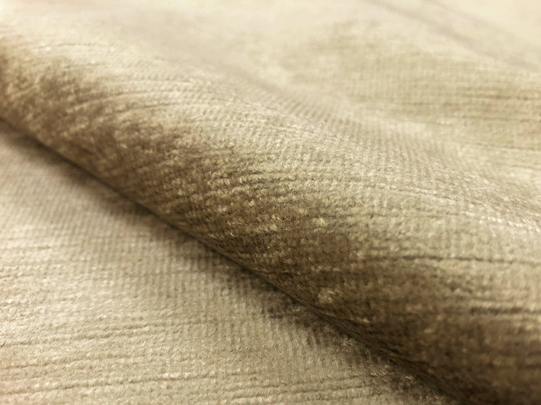 Designer Beige Neutral Cotton Velvet Upholstery Fabric