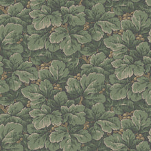 Load image into Gallery viewer, Schumacher Waldemar Wallpaper 4544 / Spruce