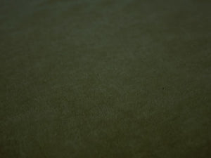 2 Yds Order Minimum Seaweed Green Genuine Mohair Velvet