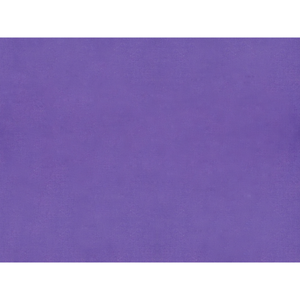 Brunschwig & Fils Sukhothai Fabric / Purple Gumdrop