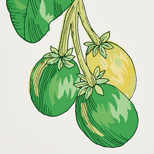 Load image into Gallery viewer, Schumacher Blair House Palm Wallpaper 5004064 / Green